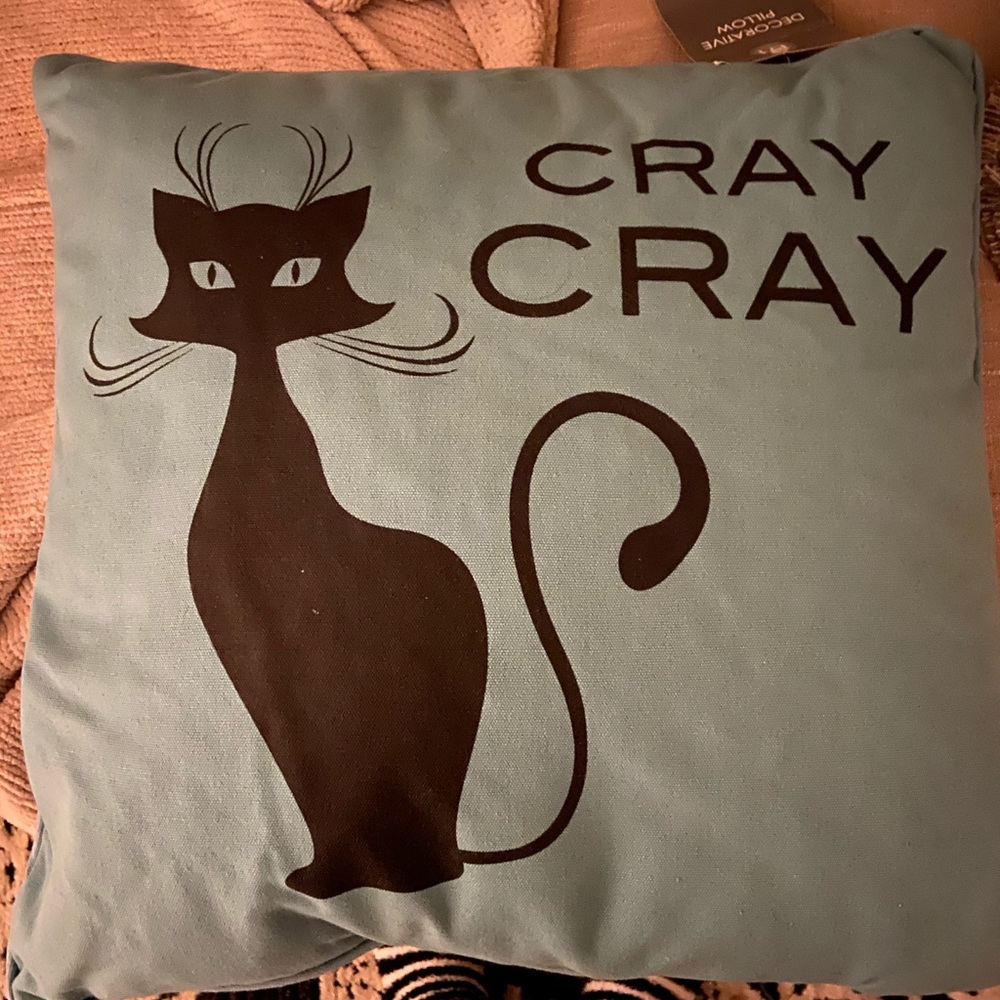 Cray Cray Cat Pillow from Nordstrom